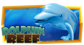 918kiss dolphin reef dolphin